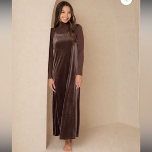 NWT Dress Blank brown velvet jumper strap maxi